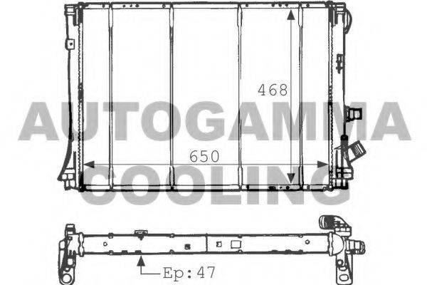 AUTOGAMMA 100892 Радіатор, охолодження двигуна