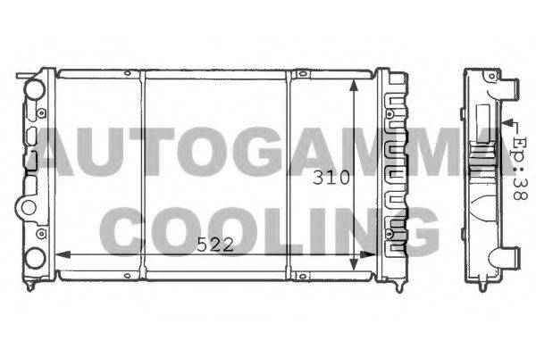 AUTOGAMMA 100959 Радіатор, охолодження двигуна