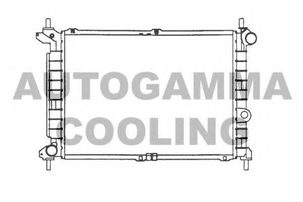 AUTOGAMMA 101224 Радіатор, охолодження двигуна