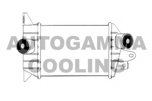 AUTOGAMMA 102404 Інтеркулер