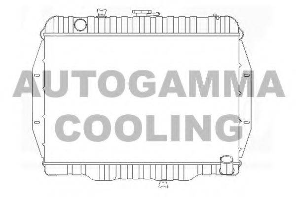 AUTOGAMMA 102902 Радіатор, охолодження двигуна