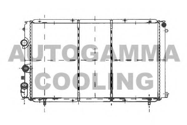 AUTOGAMMA 103002 Радіатор, охолодження двигуна