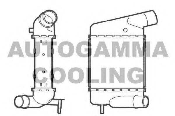 AUTOGAMMA 104492 Інтеркулер