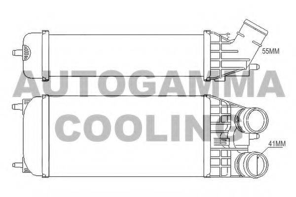 AUTOGAMMA 105675 Інтеркулер