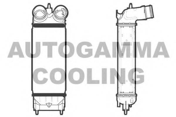 AUTOGAMMA 105888 Інтеркулер