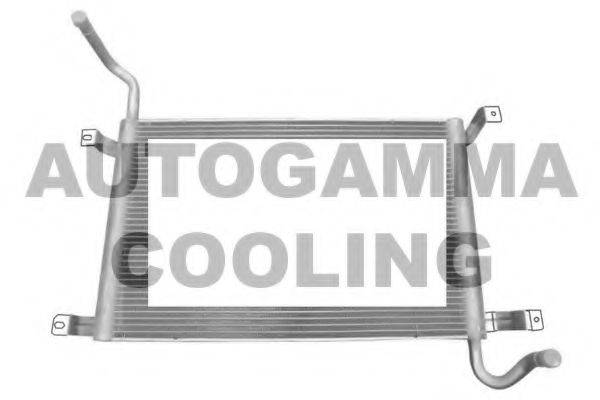 AUTOGAMMA 107493 Радіатор, охолодження двигуна