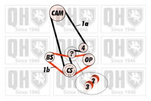 QUINTON HAZELL QBK399 Комплект ременя ГРМ