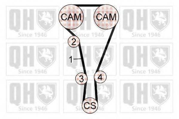 QUINTON HAZELL QBK742 Комплект ременя ГРМ