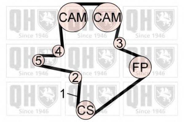 QUINTON HAZELL QBK761 Комплект ременя ГРМ