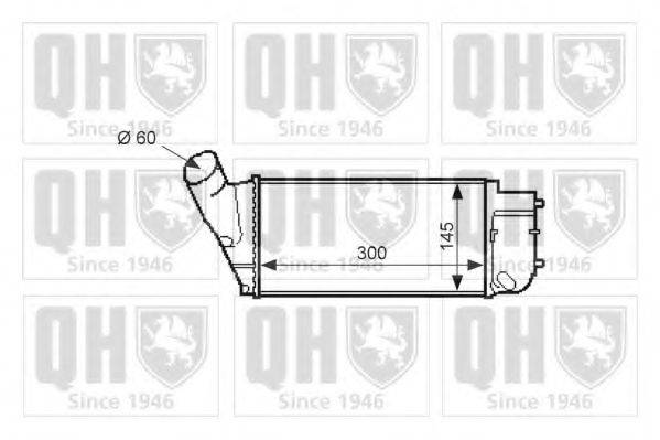 QUINTON HAZELL QIC130 Інтеркулер