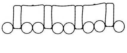 GOETZE 5003022500 Прокладка, впускний колектор