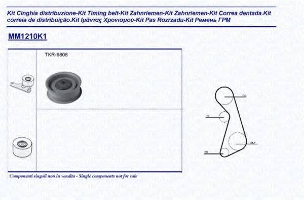 MAGNETI MARELLI 341312101101 Комплект ременя ГРМ