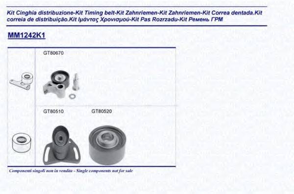 MAGNETI MARELLI 341312421101 Комплект ременя ГРМ